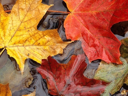 79094f002a0d904b55ead2a24b48bb66